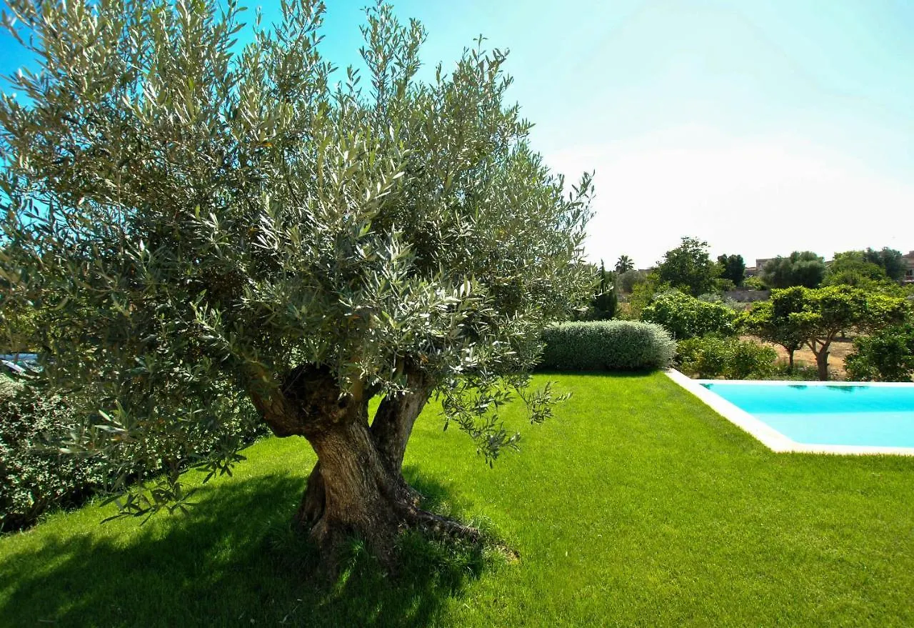Calderitx Villa Ariany 0*,  Spain